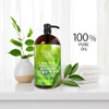 Dead Sea Collection Tea Tree Body Wash for Women and Men with Pure Dead Sea Minerals and Tea Tree Oil Cleanses and Moist