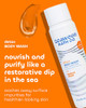 Seaweed Bath Co Detox Body Wash Orange Cedar Hydrating Foaming Cleanser with Refreshing Natural Ingredients Vegan Parabe