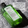 CO Bigelow Rosemary Mint Body Wash Village Perfumer Moisturizing Body Wash with Aloe Vera 10 Fl Oz