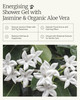 AEOLIS Refreshing Shower Gel with Jasmine and Aloe Vera Greek Olive Oil Shower Gel for Men Women Clean Beauty Body Clean