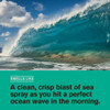 Every Man Jack Mens Hydrating Body Wash for All Skin Types Cleanse and Hydrate Skin with Naturally Derived Marine Extrac