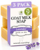 Southern Natural Goat Milk Soap Bar Lavender 3 Pack For Dry Sensitive Skin Natural Handmade Soap For Men Women Kids Baby