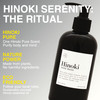 TE TE Hinoki Hand Wash Japanese Cypress Hand Soap with Pure Hinoki Essential Oil Gentle Daily Cleanser
