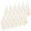 Syhood 12 Pieces Face Wash Cloth 12 x 12 in Makeup Remover Cloths Towel Coral Velvet Facial Microfiber Soft Fast Drying