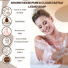 Nourichesse Liquid Castile Soap 1 Gallon Citrus Medley Organic Vegan Natural Body Wash Baby Soap Hand Soap Formulated wi