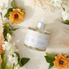 Pre de Provence Collection Liquid Hand Soap Sooths Softens while Cleansing Enriched with Shea Butter Vitamin E Glycerin