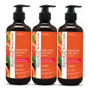 Natural Solution Body Wash Formulated with Organic Blood Orange Extracts with Himalayan Pink Salt Revitalizes Refreshing