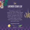 Caldrea Hand Soap Refill Aloe Vera Gel Olive Oil And Essential Oils To Cleanse And Condition Lavender Cedar Leaf 32 Oz