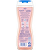 Dial Enriching Body Wash Himalayan Salt 16 oz Pack of 4