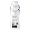 Olay Fresh Outlast Body Wash Birch Water Lavender 123 fl oz