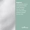 ISNTREE Mugwort powder wash 1g 003oz x 25ea Mild peeling Enzyme bubble cleanser Soothes sensitive skin