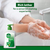 Dettol Liquid Handwash Original 200 ml with Free Dettol Liquid Handwash Refill 175 ml