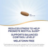 Natures Way Sleep Tonight StressReducing Formula to Promote Restful Nights Melatonin Free Sleep Support with Ashwagandha