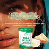 White Naturals Shea Butter 8 oz Pure Raw Unrefined African Grade A Ivory Perfect Skin Moisturizer DIY Lip Balms Stretch