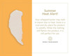 Shea Radiance PURE Whipped Shea Butter with Colloidal Oatmeal Whipped Body Butter Blended with Skin Soothing Oatmeal Moi