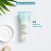 Travel Size Hotel Lotion 20 Count 085 oz Bottles Guest Amenities Vacation Rentals and Short Term Rentals Paraben Free Wh