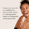 Shea Radiance PURE Whipped Shea Butter with Colloidal Oatmeal Whipped Body Butter Blended with Skin Soothing Oatmeal Moi