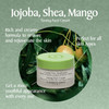 LErbolario Toning Face Cream with Jojoba Oil and Shea Mango Butters Skin Types 16 oz I0100112