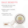 100 PURE Coconut Whipped Body Butter Body Lotion for Dry Skin Made with Shea Butter Cocoa Butter Moisturizing Body Cream