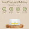 360Feel Honeysuckle Body Lotion Hydrates with Coconut Olive Oil PlantBased NonGreasy Sensitive Skin All Day Use