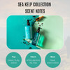 Nourishing Body Cream with Sea Kelp by The Scottish Fine Soaps Company