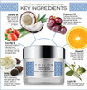 TOULON Night Face Cream For Women Best Natural Face Moisturizer for Dry Skin with Vitamin C Cocoa Butter Grapeseed Oil t