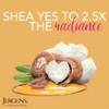 Jergens Shea Butter Body Lotion Deep Conditioning Moisturizer Hydration for Dry to Very Dry Skin with Pure Shea Butter 3