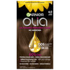 Garnier Hair Color Olia Ammonia-Free Brilliant Color Oil-Rich Permanent Hair Dye, 6.0 Light Brown, 1 Count (Packaging May Vary) online at globaldelivered