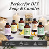 Handcraft Blends Orange Essential Oil Huge 4 Fl Oz 100 Pure and Natural Premium Grade Essential Oil for Diffuser and Aro