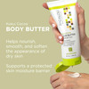 Andalou Naturals Body Butter Kukui Cocoa Nourishing Body Cream 8 Oz Shea Butter Cocoa Butter Argan Oil for Dry Skin Vega
