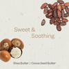 Renpure Cocoa Butter Shea Butter UltraHydrating Body Lotion Rich Creamy Formula for Long Lasting Hydration For Dry to Ve