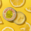 Burts Bees Lemon Butter Cuticle Cream 100 Percent Natural Origin Hand Cream 3 Tins 06 oz Tin