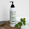 Archipelago Botanicals Morning Mint Lotion Mint Moisturizing Body Lotion for Sensitive Skin ParabenFree PhthalateFree GM