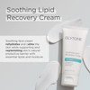 Glytone Soothing Lipid Recovery Cream Face Moisturizer Hydrates Calms Restores Skin Barrier with Camelina Oil ProVitamin