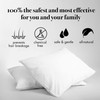 100 Mulberry Silk Pillowcase Queen Pillowcases for Skin Care and Healthy Hair Soft Silk Fabric Queen Size Meili and Grac
