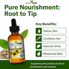 Mayans Secret Sunflower Seed Oil 4oz Size All Natural Cold Pressed USDA Certified Organic High oleic Daily or Nighttime