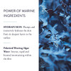 Phytomer Hydrasea Moisturizing Night Cream Intensely Nourishing Face Moisturizer Plumps and Hydrates Dry Skin Anti Aging