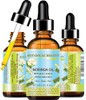 Botanical Beauty MORINGA OIL Moringa oleifera WILD GROWTH Himalayan 100 Pure Natural Undiluted Virgin Unrefined for Face