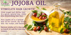Dr Joe Lab Jojoba Oil Organic for Hair Growth Skin Face 100 Pure Natural Cold Pressed Deep Moisturizing AntiAging Essent