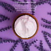 Lavender Body Butter with Shea Butter Jojoba Lavender Essential Oil Natural Lotion for Women NonGreasy Moisturizer for D