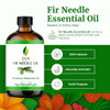 SVA Fir Needle Essential Oil 4 Fl Oz 100 Natural Fir Needle Oil for Diffuser Hair Care Face Skin Care Aromatherapy Scalp