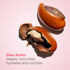 Clarins MoistureRich Body Lotion Intensely Hydrates Nourishes Softens and Smoothes NonGreasy and Fast Absorbing 88 Natur
