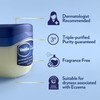 Vaseline Petroleum Jelly Original 175 oz Pack of 12