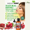 Mayans Secret USDA Certified Organic Pomegranate Seed Oil for Skin Repair Large 4oz Glass Bottle Cold Pressed and Pure R