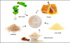 RAYA Almond Honey Facial Scrub 106 Natural Exfoliating Facial Scrub for NonBlemished Skin Polishes Softens and Creates a