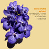Clarins Blue Orchid Face Oil Treatment Skin is Immediately Hydrated Revitalized and Toned Restores Radiance Visibly Mini