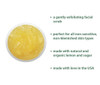 RAYA Lemon Sugar Facial Scrub 157 Organic and Natural Exfoliating Scrub for Dry Skin Brightens and Smooths Complexion