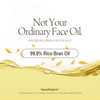 HAYEJIN Rice Bran Oil for Face Face Moisturizer wFermented Rice Bran Oil Korean Face Oil for Women Face Serum for Glowin