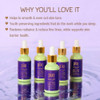 Pixi Beauty Overnight Retinol Oil Smoothing Night Oil Peptides Help Firm Revitalize Skin Improves Appearance of Fine Lin