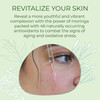 SeaEl Moringa Seed Facial Oil Drops Super Moisturizing AntioxidantRich Glow with Sea Kelp Vitamin E Daily Face Primer Re